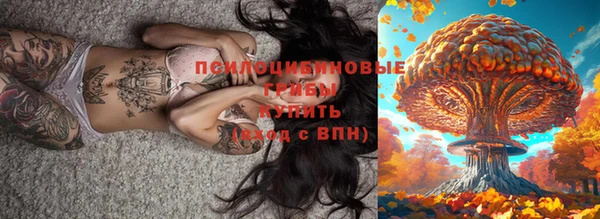 прущие крисы Богородицк